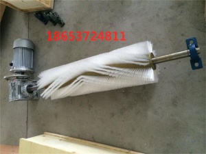 電動(dòng)滾刷清掃器 高分子自調(diào)型清掃器