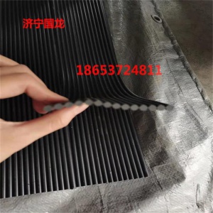 250*5.5皮帶機密封膠條 密封效果好