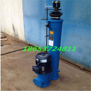 DTZ15000電動(dòng)推桿 占據(jù)空間小 維護(hù)簡(jiǎn)單